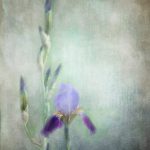 欧美潮喷十大喷潮 x4csj046u2