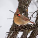 xxxo karaoke:畅享无尽乐趣,尽情释放你的歌唱天赋! f91kdqaf